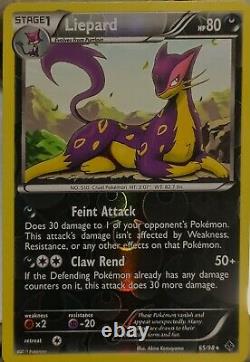 (2011)(Liepard) Ultra Rare Reverse Holo A Master Piece Amazing Vintage
