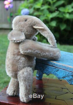 ULTRA RARE EARLY BING JOINTED ELEPHANT WITH METAL EAR TAG c1910! MUSEUM QUALITY