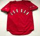 Ultra Rare Vintage 90s Nike Air Jordan Embroidered Baseball Jersey Shirt Jumpman
