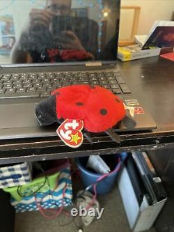 ULTRA Rare 11 SPOT LUCKY Ty Beanie Baby PVC VINTAGE ORIGINAL WithERRORS