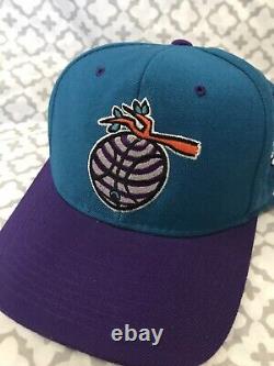 VIntage Charlotte Hornets 90s nest Logo Starter Snapback Hat Cap Ultra rare