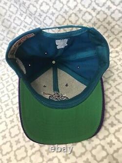 VIntage Charlotte Hornets 90s nest Logo Starter Snapback Hat Cap Ultra rare