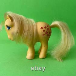 Vintage Ultra Rare My Little Pony G1 Nirvana Colombia Blossom Variant Mlp Hasbro